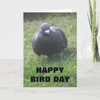 Posing Pigeon Custom Birthday Card from Zazzle.com