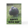 Posing Pigeon Custom Birthday Card