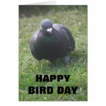 Posing Pigeon Custom Birthday Card