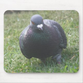 Posing Pigeon Mousepad mousepad