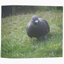 Posing Pigeon Photo Album 3 Ring Binders