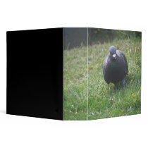 Posing Pigeon Photo Album 3 Ring Binders