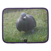 Posing Pigeon Rickshaw Folio Folio Planner
