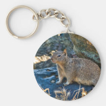 Posing Squirrel Key Chains