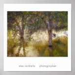 posrt, alex centrella     photographer poster