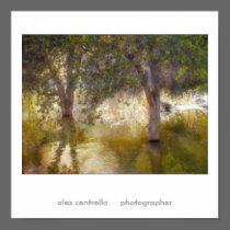 posrt, alex centrella     photographer posters