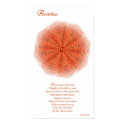 Possibilities posters