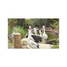 Possible Plotting Pelican Problems Canvas Print
