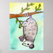 Possum Danglin' Posters