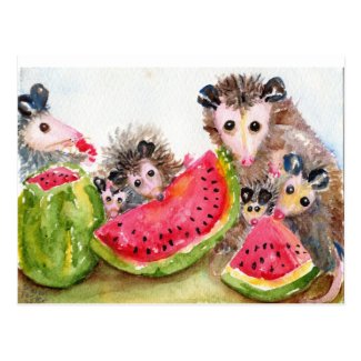 Possum Family Picnic Postcard