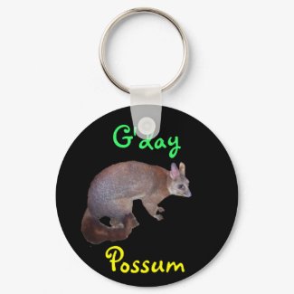 Possum keychain