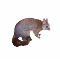 Possum Cut Out