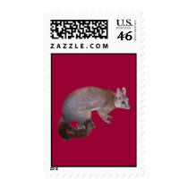 Possum postage