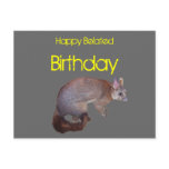 Possum postcards