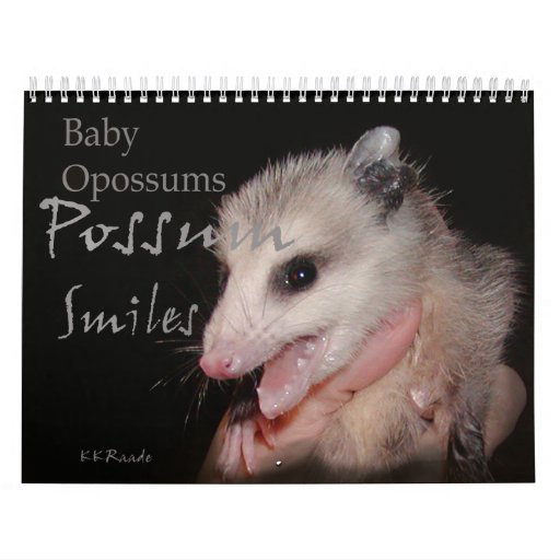 Possum Smiles Calendar Zazzle