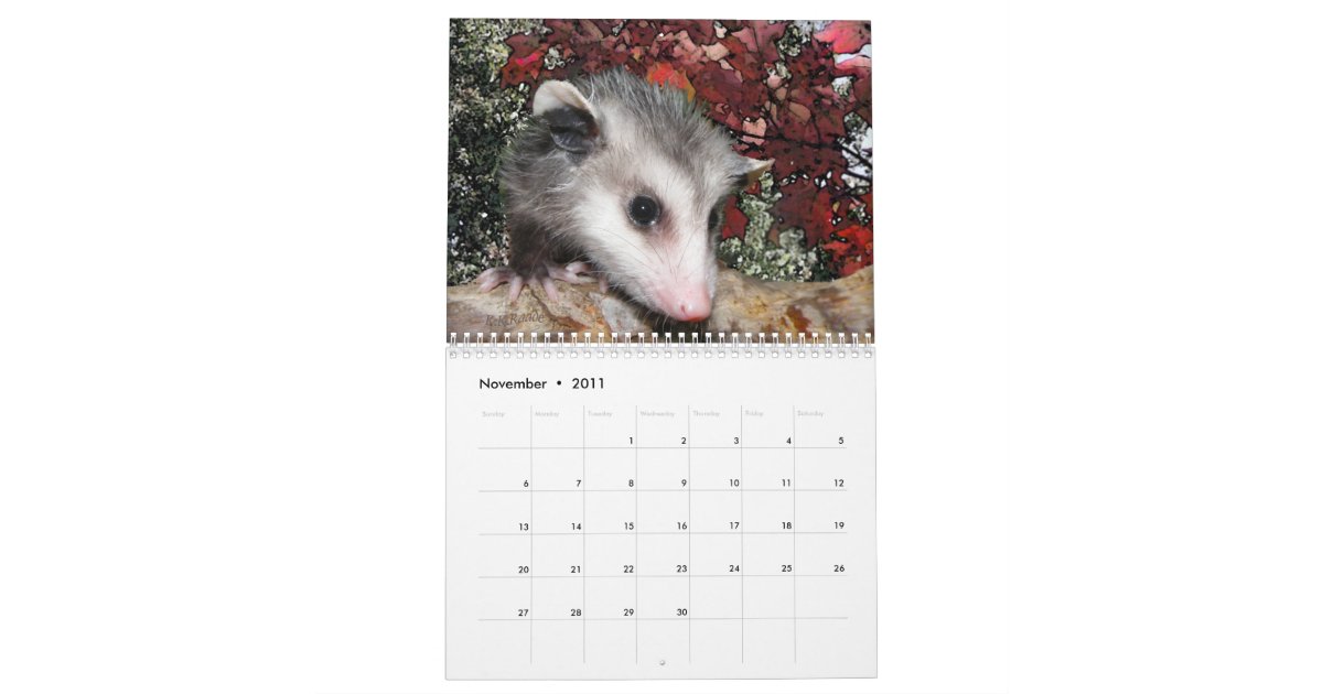 Possum Smiles Calendar Zazzle