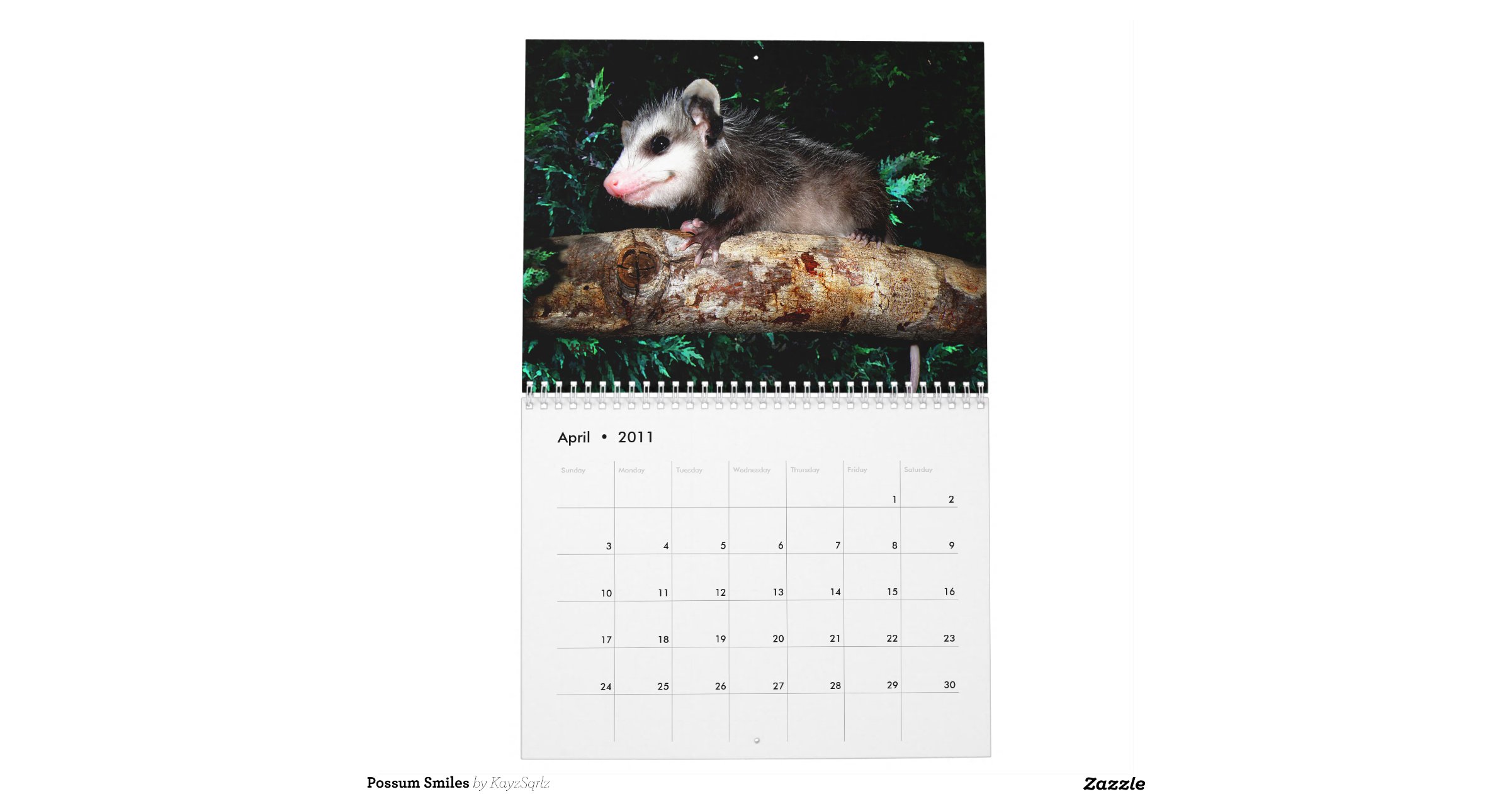 Possum Smiles Calendar Zazzle