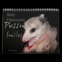 Possum Smiles calendars