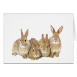 Post and Note Cards