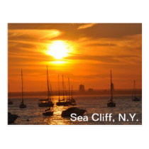 Post Card postcards