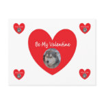 Post Card Husky Red Heart Be My Valentine postcards