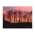 post card postcards by kamira post card postcards