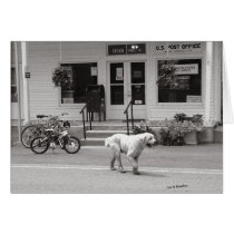Post Office Miniton Tennesee cards by bhbphotos Post Office Miniton Tennesee cards