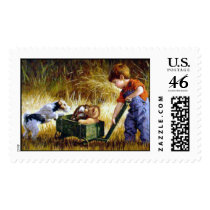 postage stamps