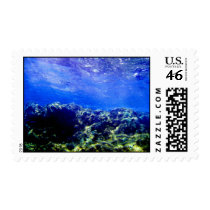 postage by IDCSRacoon postage