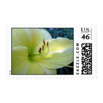 postage