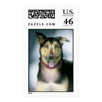 "" postage
