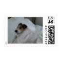Postage postage