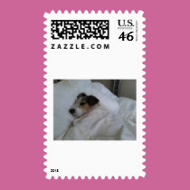 Postage postage