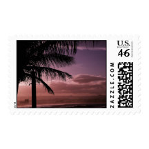 Postage Afternoon Glow Coolangatta Australia