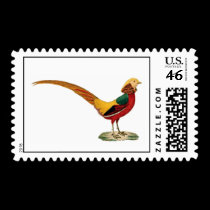 Postage, Argus Pheasant on White Background stamps