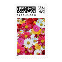 Postage_Flow05