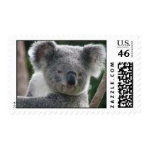 Postage Koala Australia postage