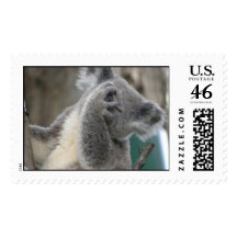 Postage Koala Australia