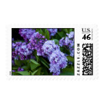 Postage, Lilac Blossoms # 40