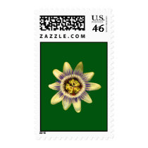 Postage, Passionfruit blossom, green back