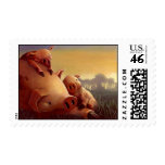 Postage Pigs in Sunset