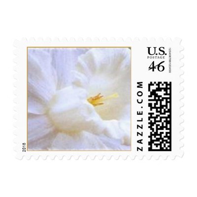 Postage - PURITY by anewname4s