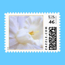 Postage - PURITY stamps