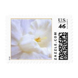 Postage - PURITY