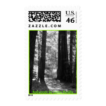 Postage - Redwoods postage