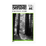 Postage - Redwoods postage