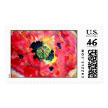 postage stamp