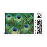 Postage stamp