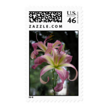 Postage Stamp