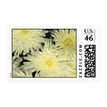 Postage Stamp, "CHRYSANTHEMUMS LIKE STARS